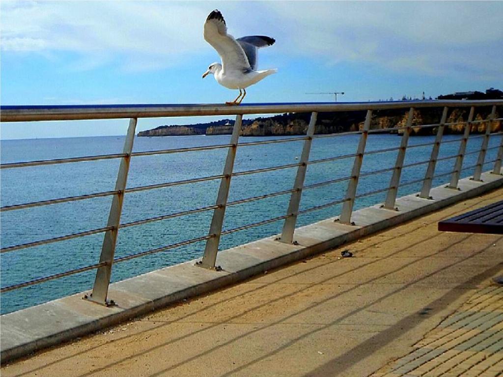 Armacao Beach Residences Armação de Pêra Eksteriør billede